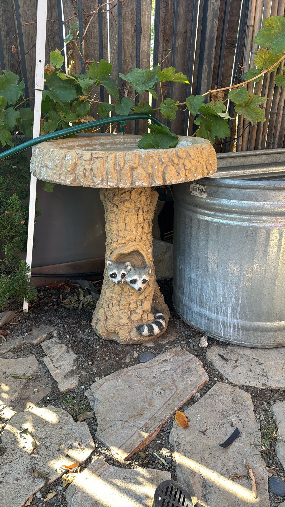 Nice Concrete Bird Bath !