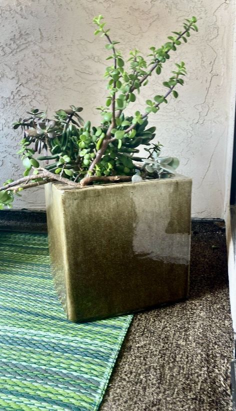 Ceramic Ombré Green Cement Planter With Succulents