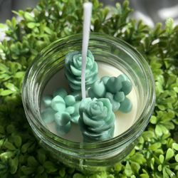 Handmade Hand Poured Mini Succulent Terrarium Candle Succulent Candle Decorative Candle Aesthetic Candles Plant Terrarium Succulent Terrarium