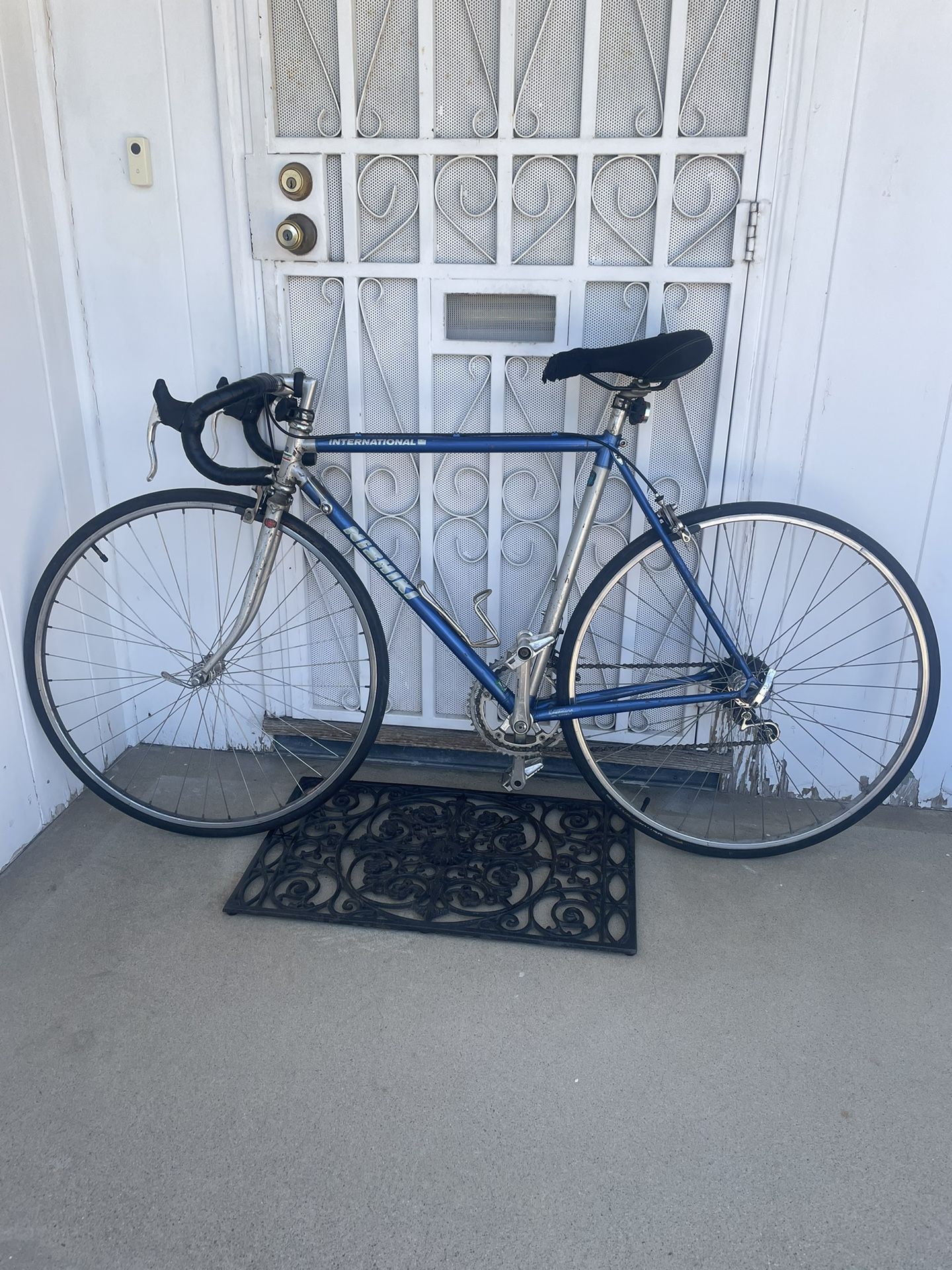 vintage nishiki international road bike