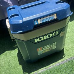 Igloo Max Cold Cooler 