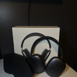 air pod max