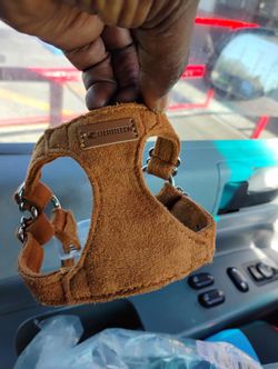 Harness tie And Strap For Small Dog 