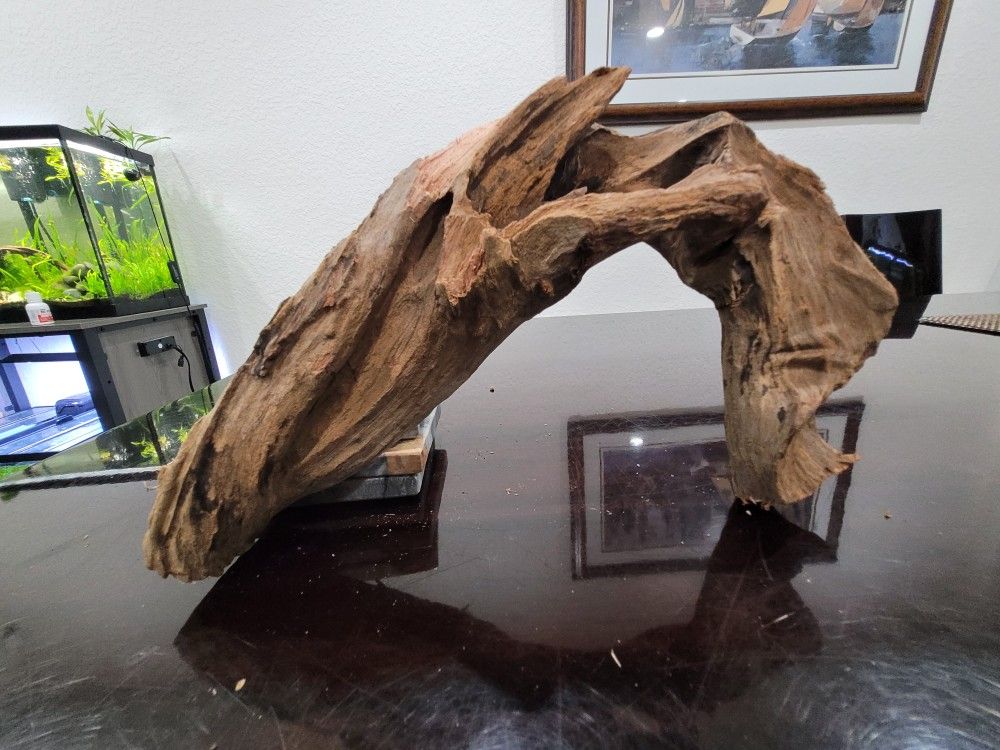 Large Aquarium Fish Tank Reptile Driftwood