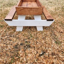 Pet/Chicnic Table