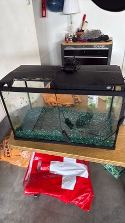 FREE- 10 gallon aquarium with all accessories