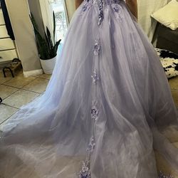  New Quinceanera Dress Size 8