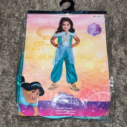 Jasmine Costume With Wig