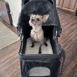 Sweetcrispy Portable Pet Stroller