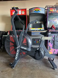 Rogue echo bike