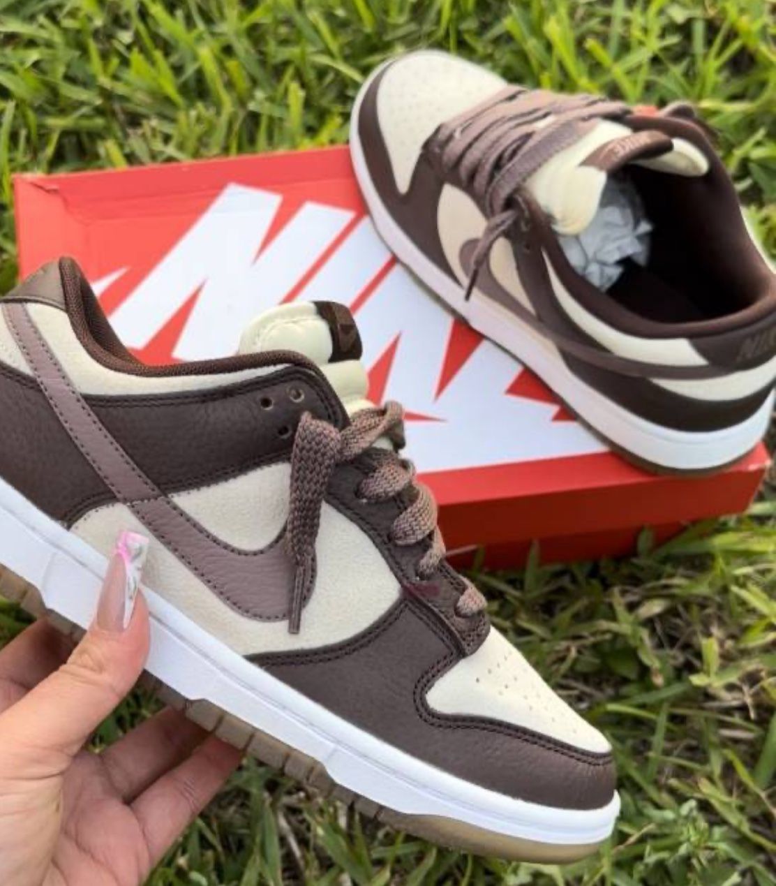 Nike Dunk Plum Low