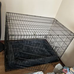 Dog Cage.