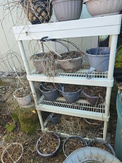 FREE Hanging baskets