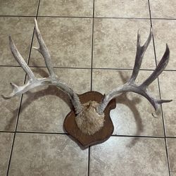 Deer Wall Decor