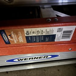 WERNER 10 Foot Fiberglass Ladder