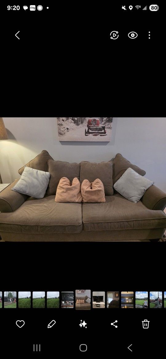 Love Seat/couch