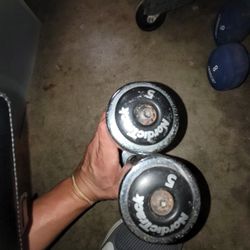 5lb Nordiktrack Dumbbells 