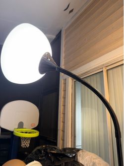 Single floor lamp that  angles. Bulb does not come with it.