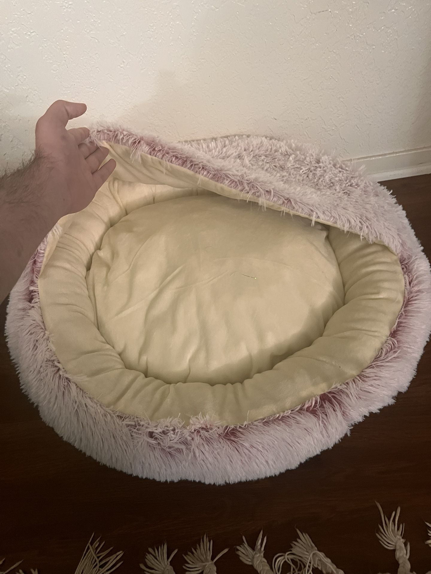 Two Pet Beds Barely Used
