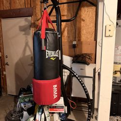 Boxing Heavy Bag With Pull-up Stand 