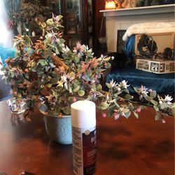 Glass Jade Japonesa Cherry 🍒 Blossom 