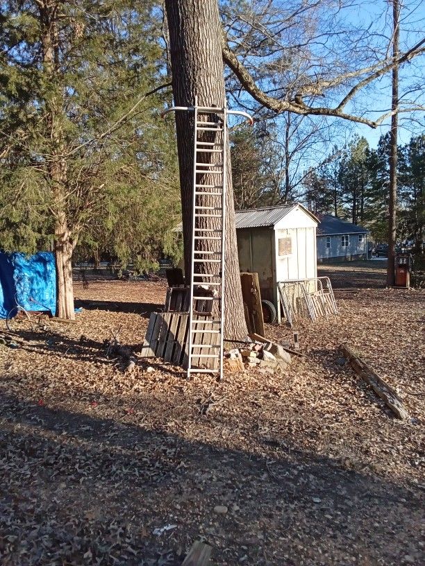 Ladder