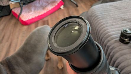 Canon RF 100-400 IS Lens
