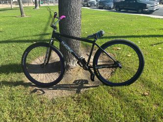 Throne 29er