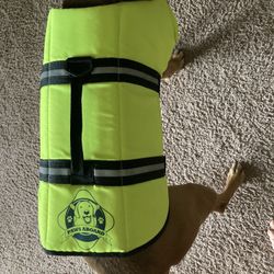 Dog Life vest