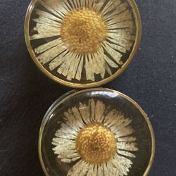 Plugs Gauges Earrings