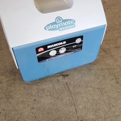 Ice Chest Or Lunch Box