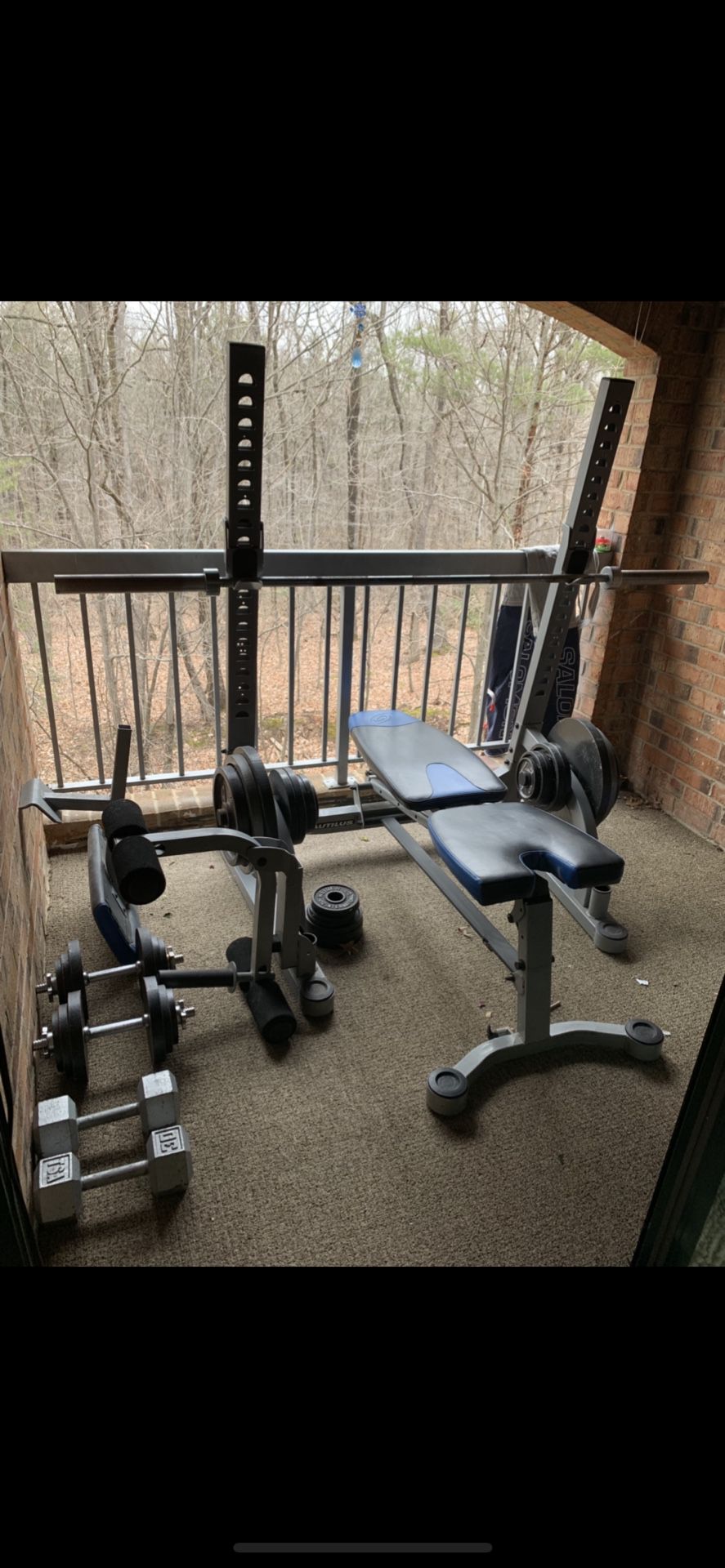 Weight bench only