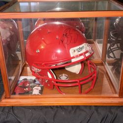 Reggie Bush Signed Helmet 