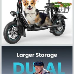 Gyroor Adults Electric Scooter with Large Middle Basket, 550W Motor 18.6 MPH 20 Mile Distance, Foldable E-Scooter with seat for Pets & Cargo, C1S-FP9