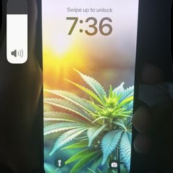 I Phone 16 E