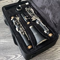 Clarinet with carry case in excellent condition.   $60