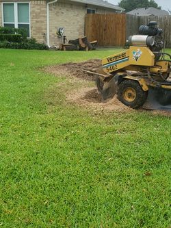 Tree and stump grind , Other Maintenance Around Your Home