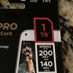 SanDisk 1TB Micro SD Card