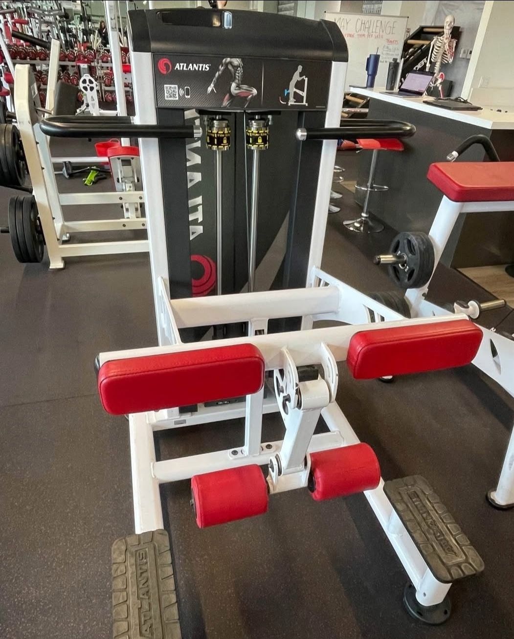 Atlantis Standing Leg Curl Gym Equipment Exercise Fitness Weight Machine
