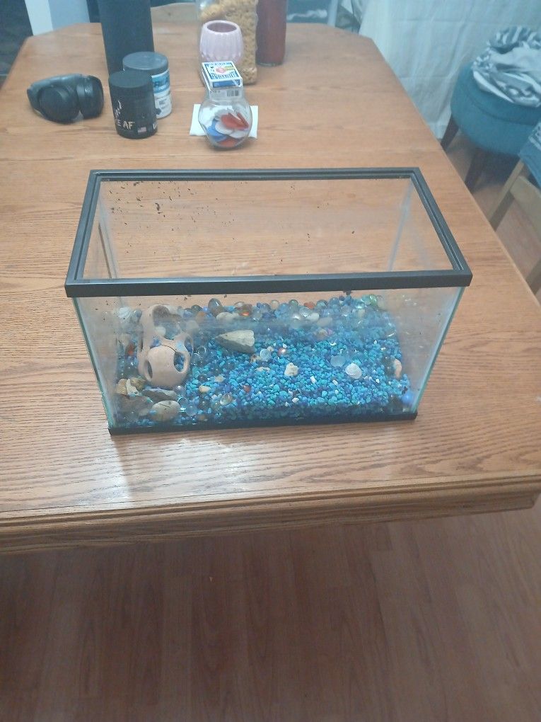 Fish Tank