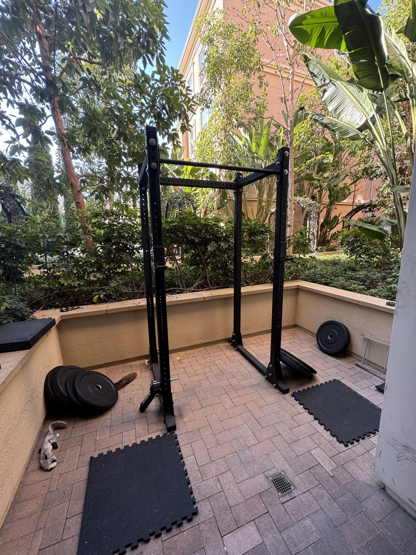 Rogue Rack w Weights And Accessories
