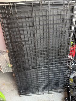 Big dog cage