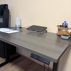 Electrical sit stand desk! Need gone!
