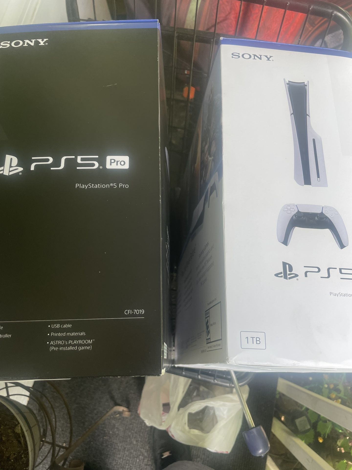 Ps 5