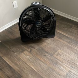 Fan 