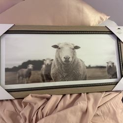 24”x12” Sheep Picture