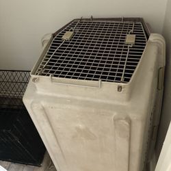 Dog Cage