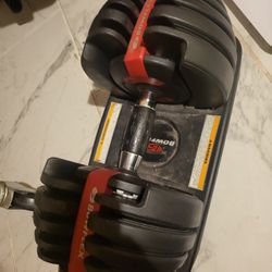 Bowflex Dumbell 