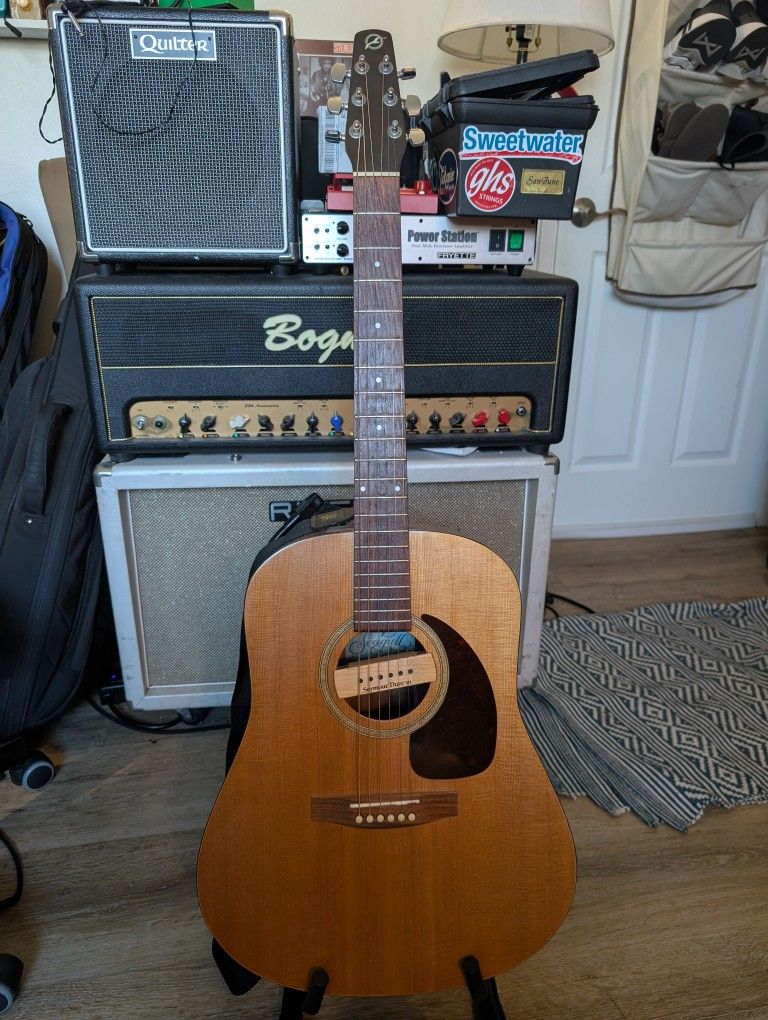 Seagull SM6 spruce slope shoulder w/ Seymour Duncan pickup