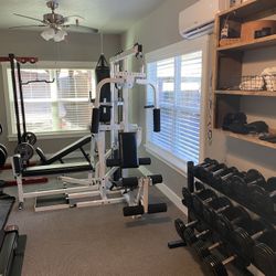 Paramount Complete Fitness Machine 